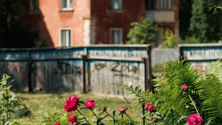 Погода в Глазове на 23 июня